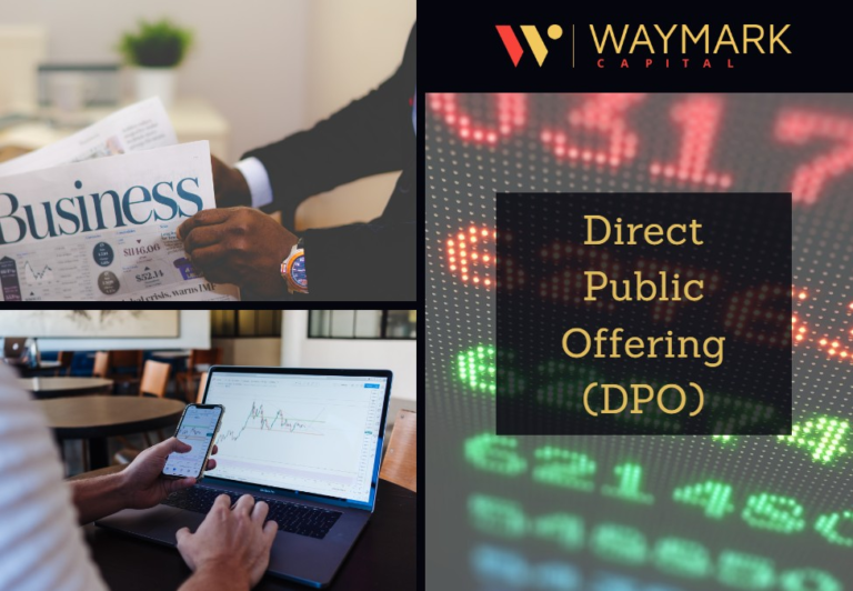 Direct Public Offering Guide to Inclusive Investment Landscape